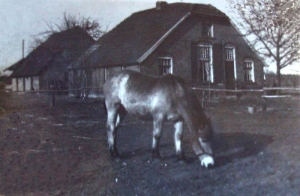 BOE 8 Hogenkamp pre 1959
